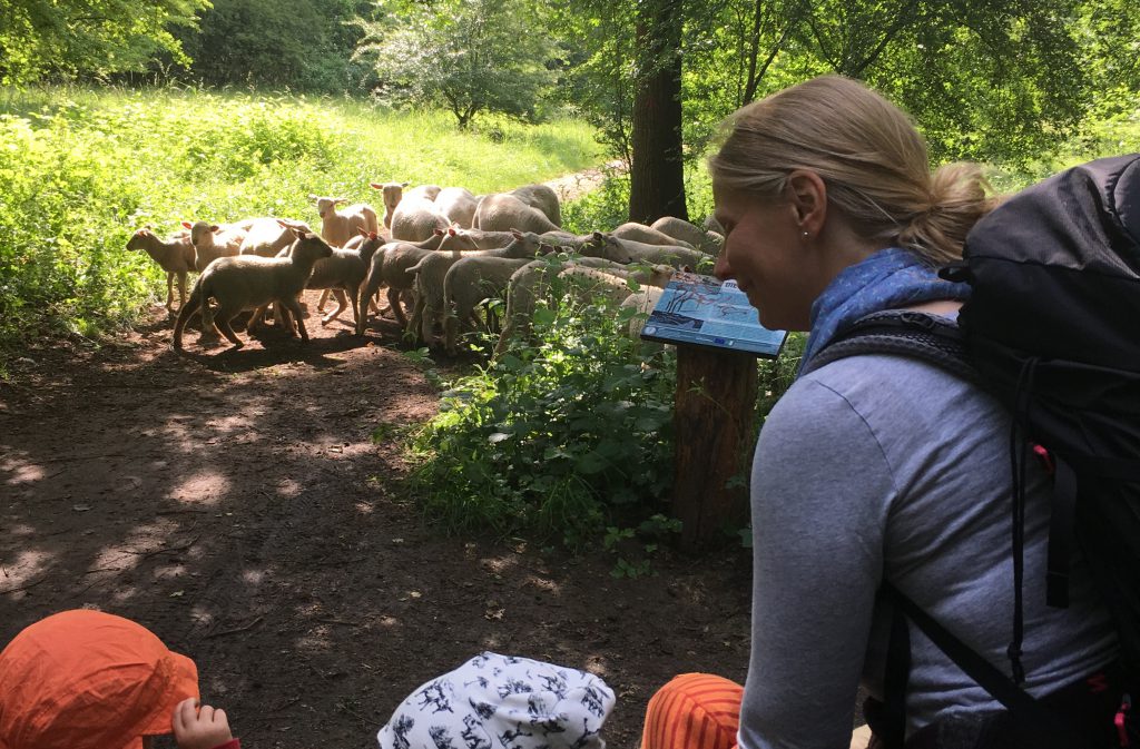 Über uns – Waldkindergarten Reinbek