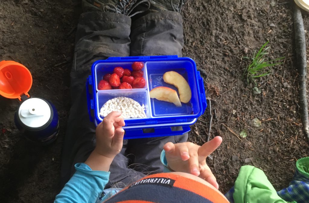 Ein Tag mit den Waldfüchsen – Waldkindergarten Reinbek