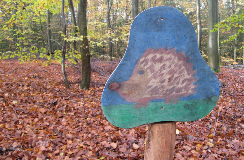 Ein Tag mit den Waldfüchsen – Waldkindergarten Reinbek