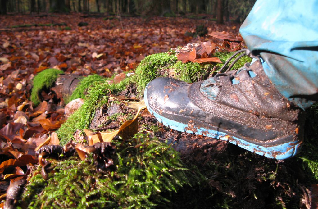 Alltag im Wald – Waldkindergarten Reinbek