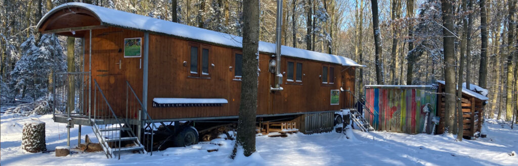 Ausrüstung und Ausstattung – Waldkindergarten Reinbek