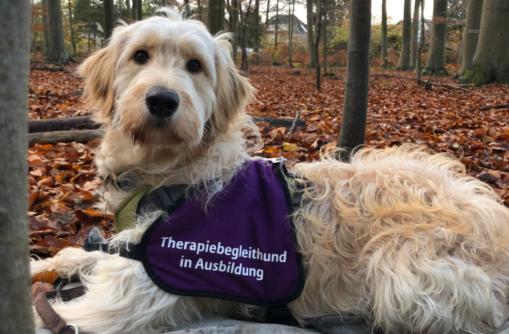 Wilma – Waldkindergarten Reinbek